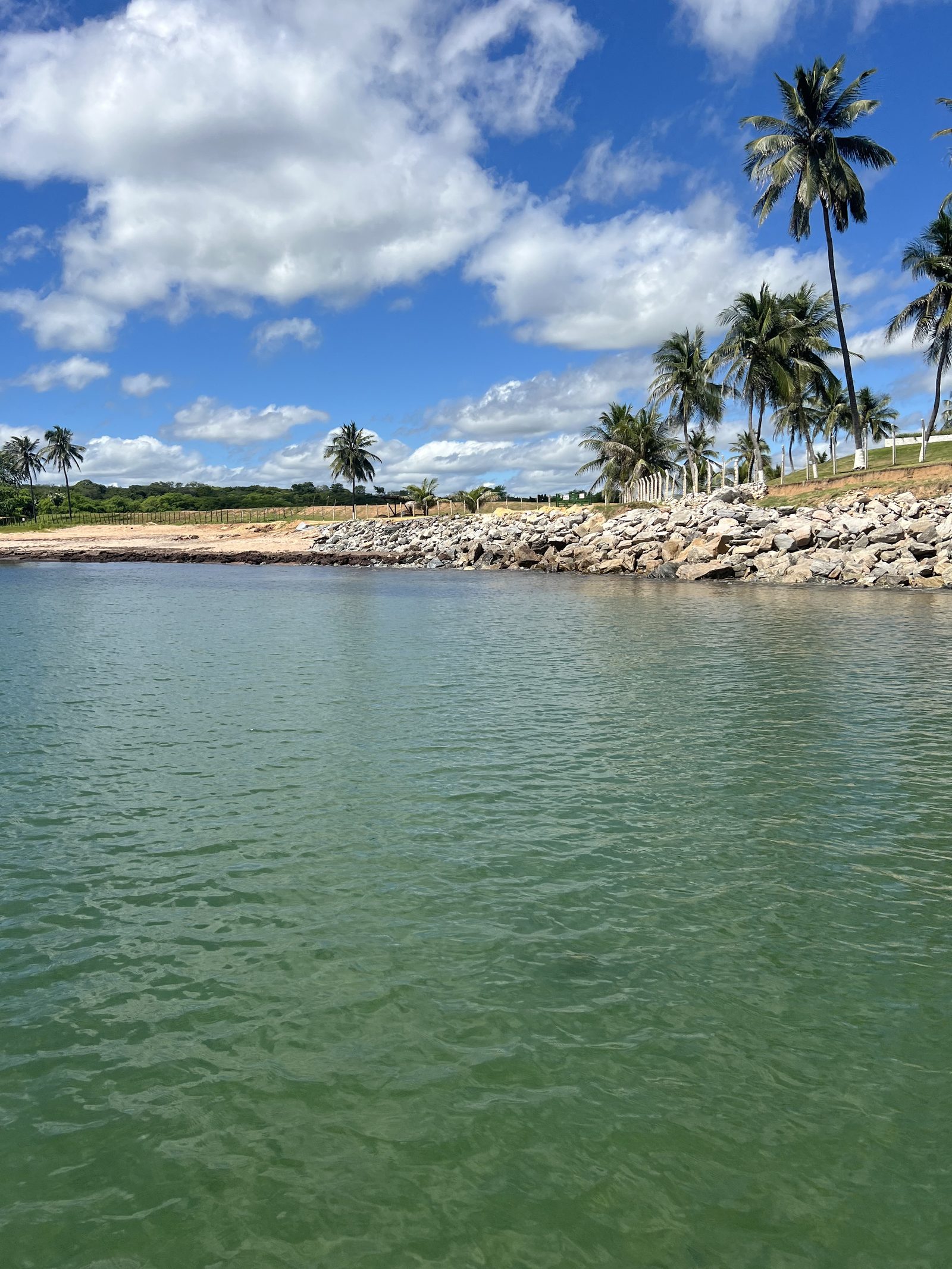 Enseada com coqueiros vista do mar